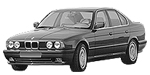 BMW E34 P3393 Fault Code